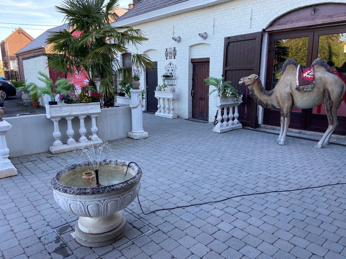 au-salon-d-eden-restaurant-grandmetz-leuze-chameau