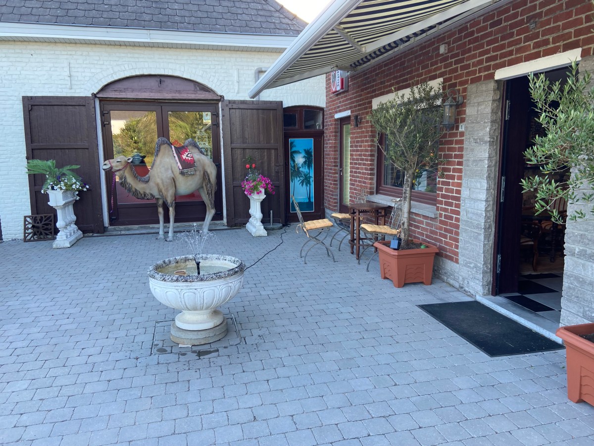 au-salon-d-eden-restaurant-grandmetz-leuze-terrasse